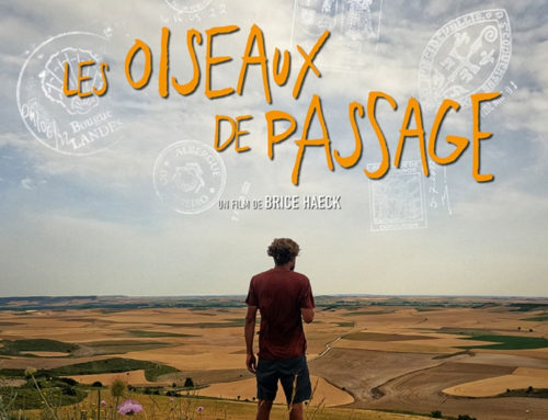 Ve. 07/02 – Les oiseaux de passage